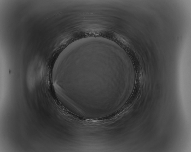 X0000086011060200704131823