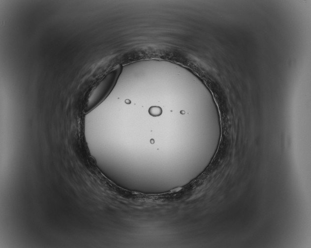X0000086011061200704131823
