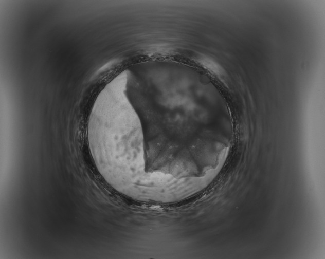 X0000086011063200704131823