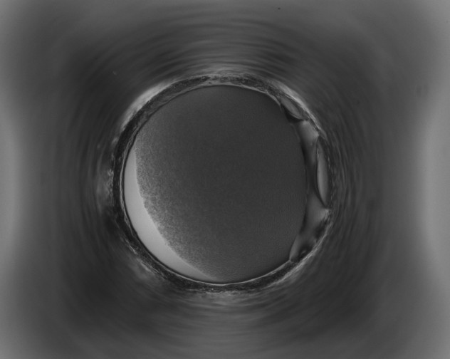 X0000086011066200704131823