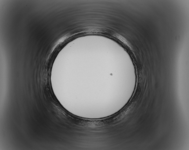 X0000086011067200704131823
