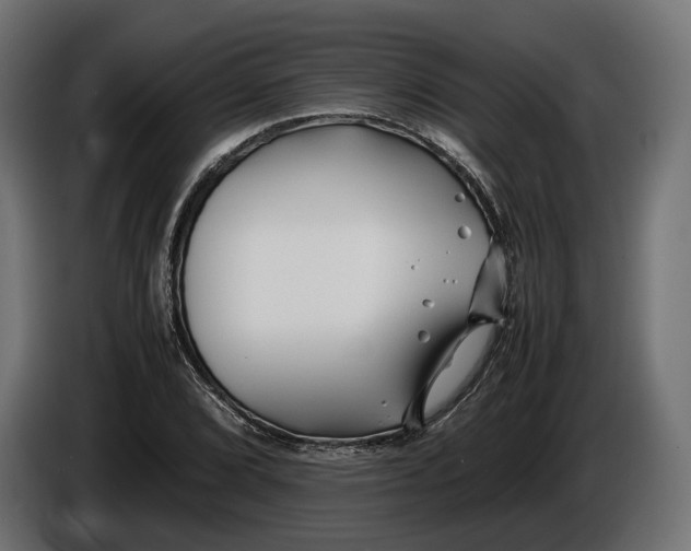 X0000086011072200704131823