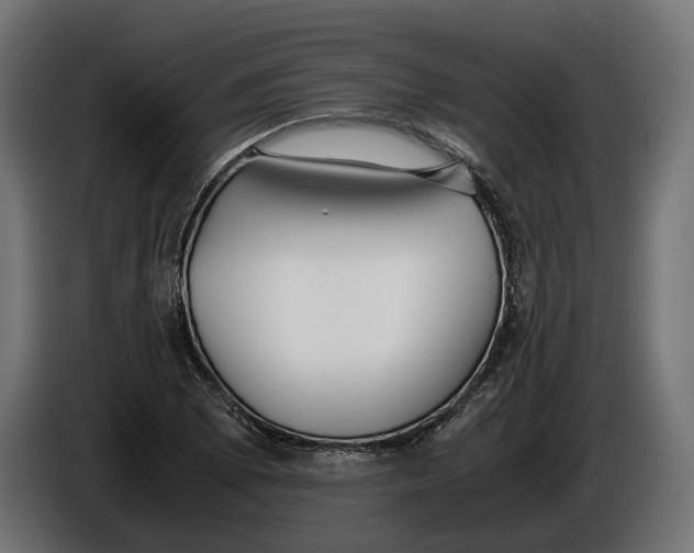 X0000086011073200704131823