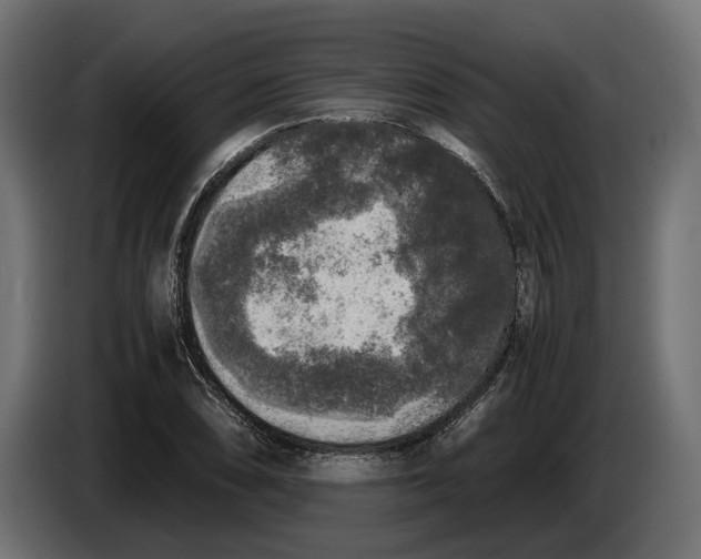 X0000086011074200704131822