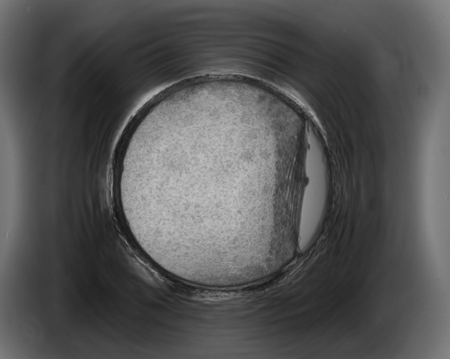 X0000086011076200704131822