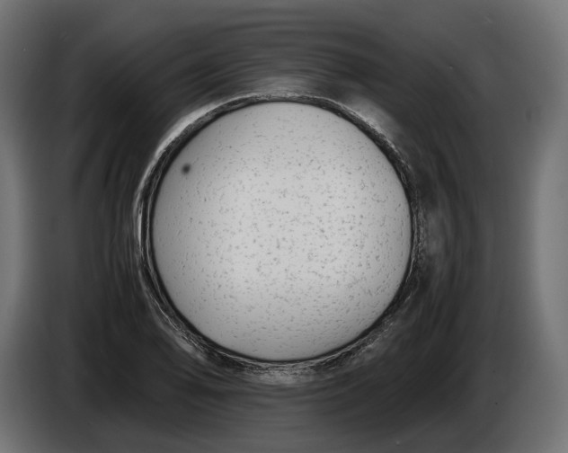 X0000086011078200704131822