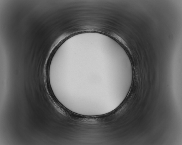 X0000086011082200704131822