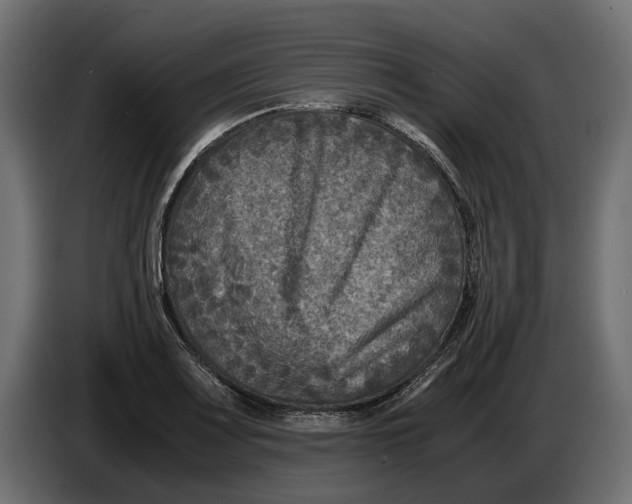 X0000086011083200704131822