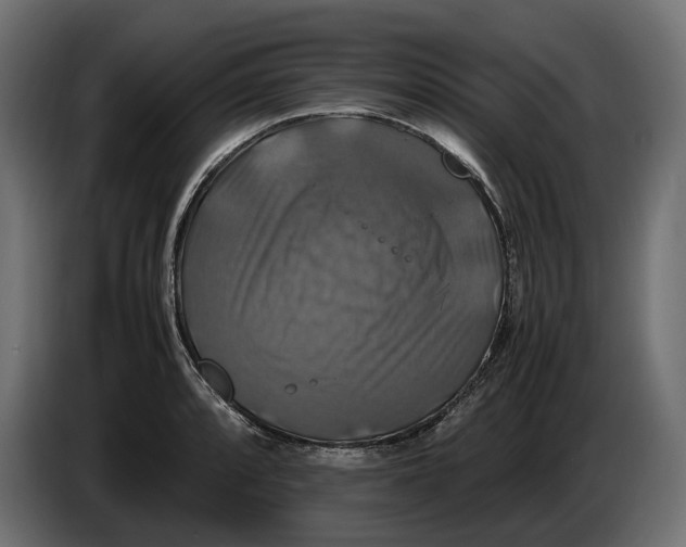 X0000086011088200704131822