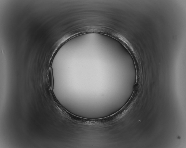 X0000086011089200704131822