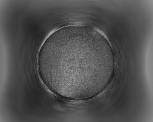 X0000086011091200704131822
