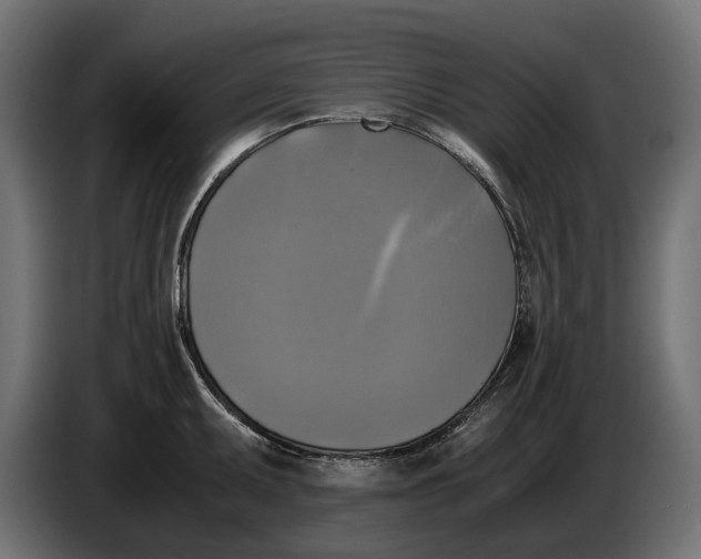 X0000086011095200704131822