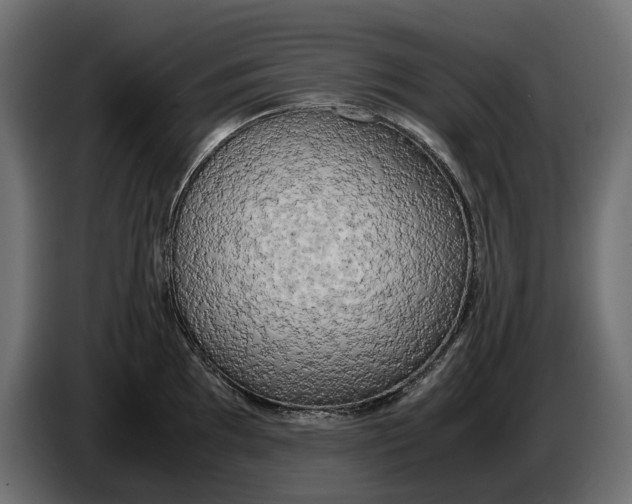 X0000086011097200704131822