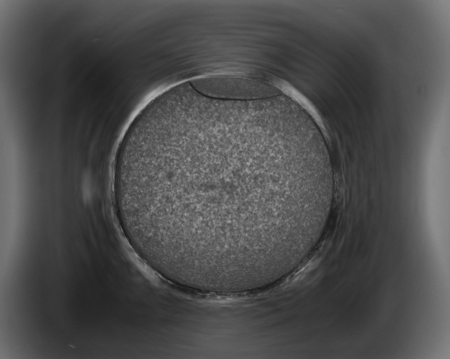 X0000086011099200704131822