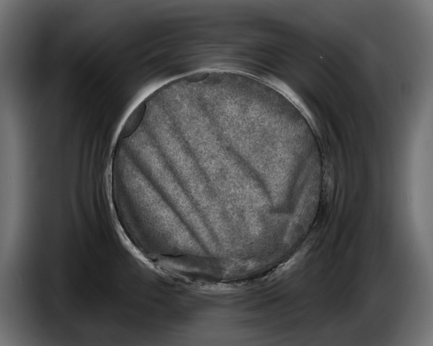 X0000086011100200704131822
