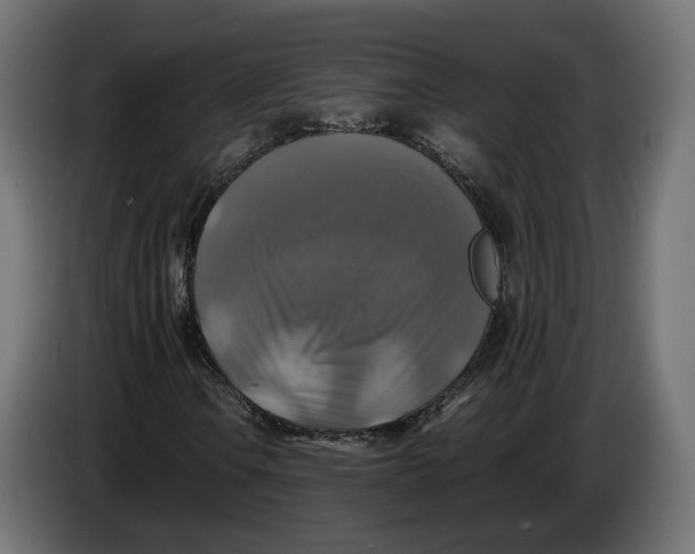 X0000086011106200704131821