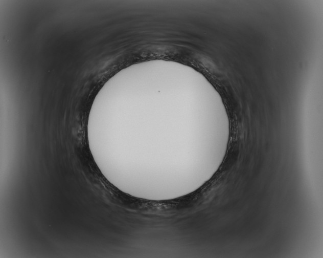X0000086011109200704131821