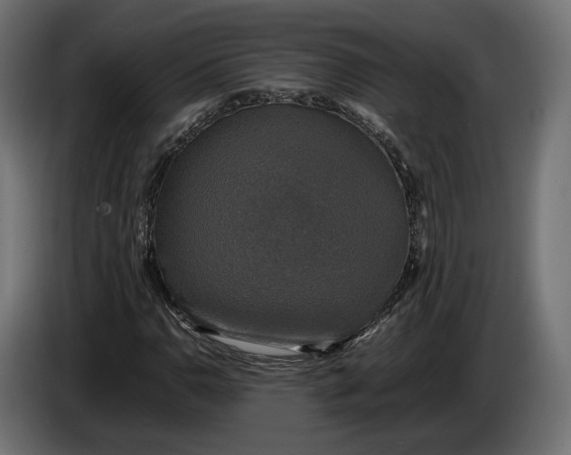X0000086011110200704131821