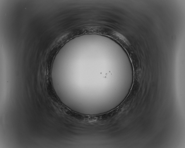 X0000086011111200704131821
