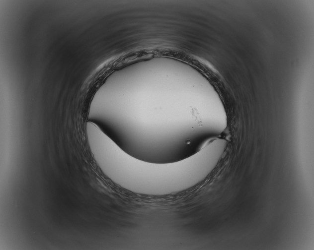 X0000086011112200704131821