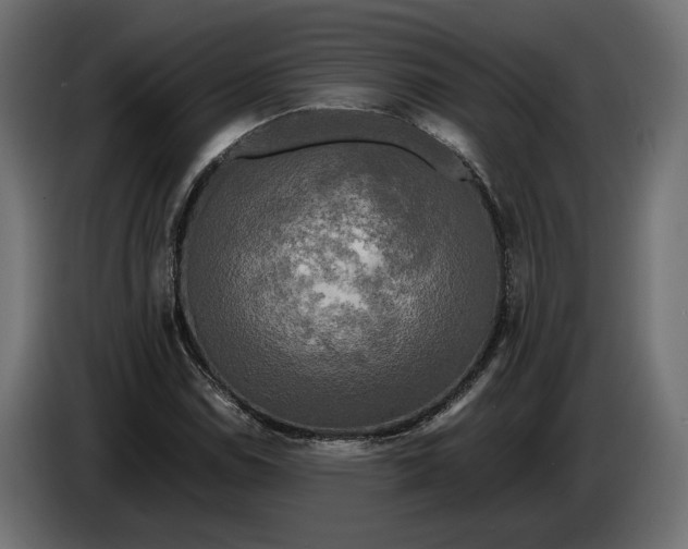 X0000086011114200704131821