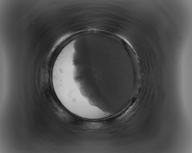 X0000086011115200704131821