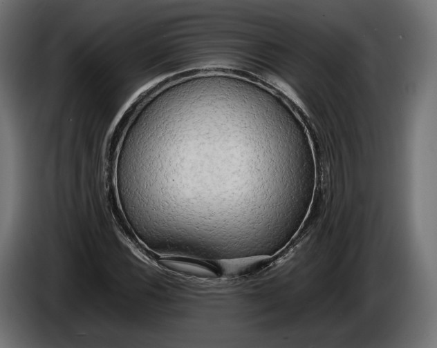 X0000086011116200704131821