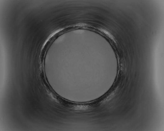X0000086011117200704131821