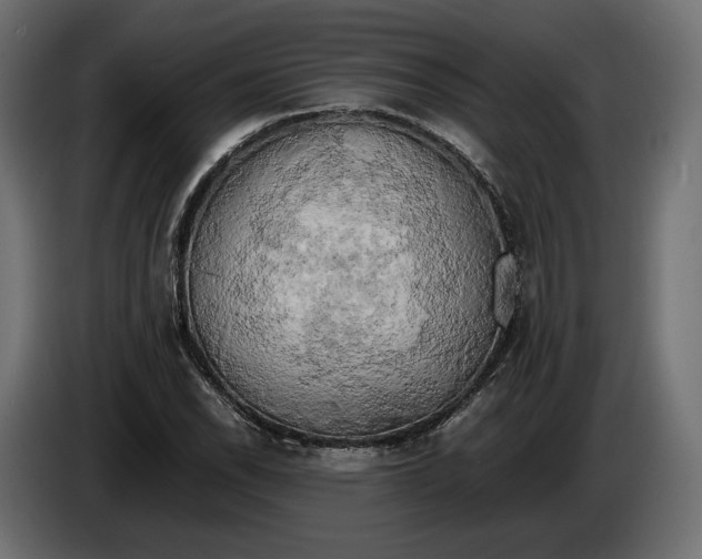 X0000086011118200704131821