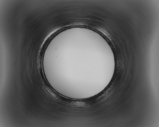 X0000086011119200704131821
