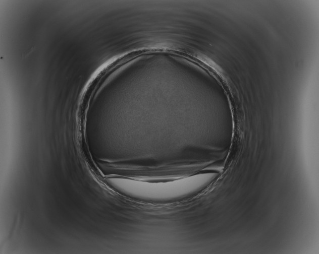 X0000086011120200704131822