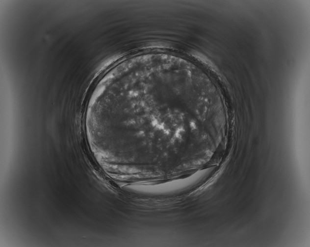 X0000086011121200704131822