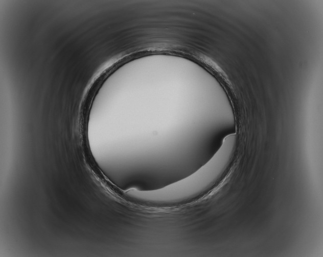 X0000086011122200704131822