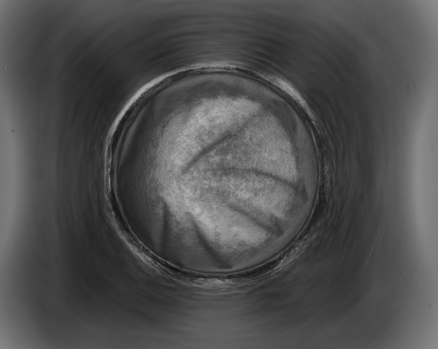X0000086011124200704131822
