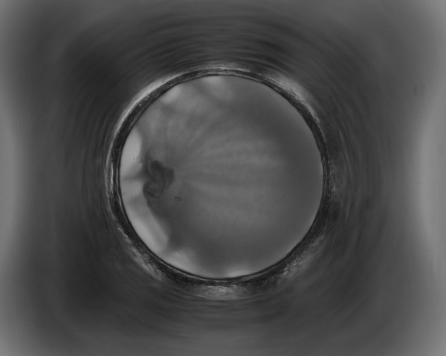 X0000086011125200704131822