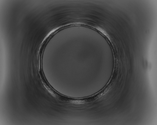 X0000086011127200704131822