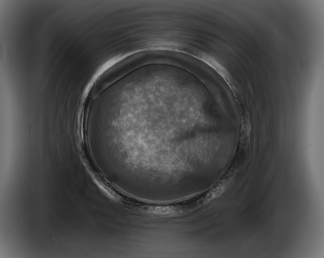 X0000086011128200704131822