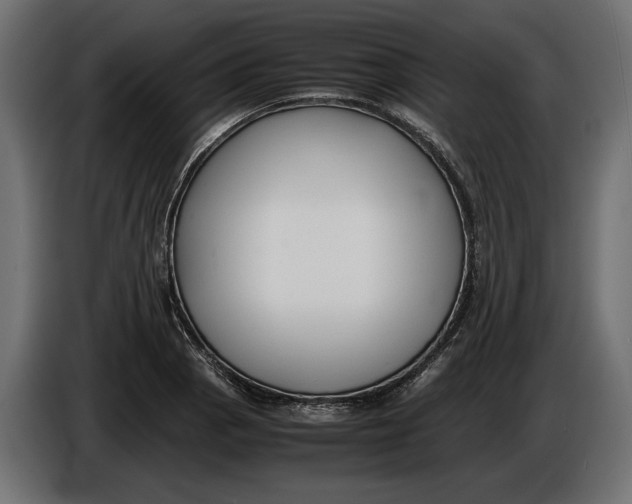 X0000086011129200704131822