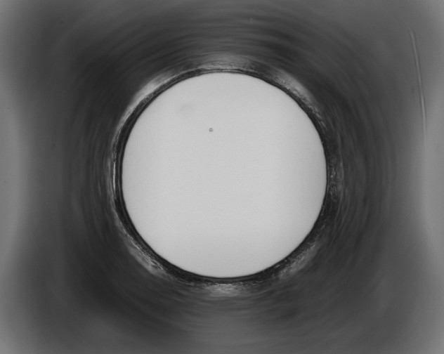 X0000086011130200704131822