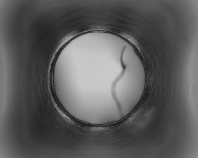 X0000086011135200704131822