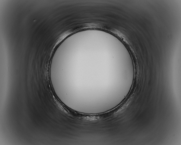 X0000086011137200704131822