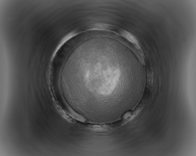X0000086011138200704131822