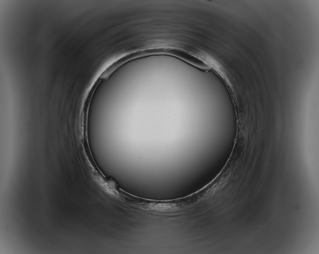 X0000086011140200704131822