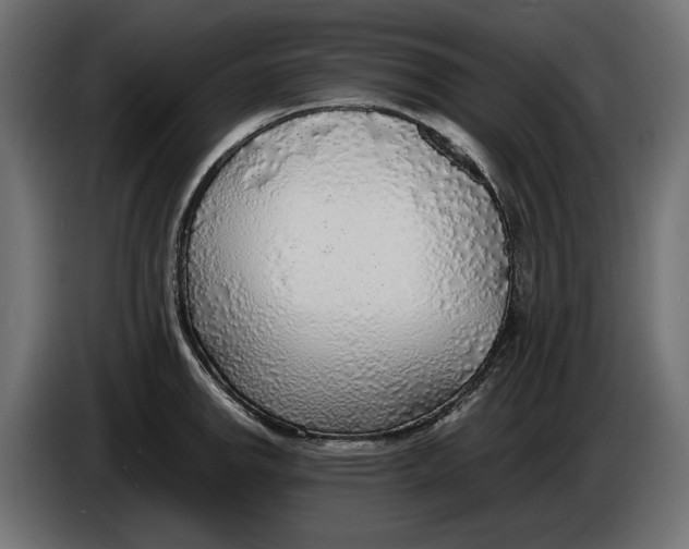 X0000086011142200704131822