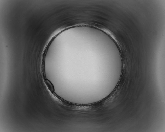 X0000086011143200704131822