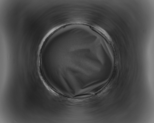X0000086011144200704131822