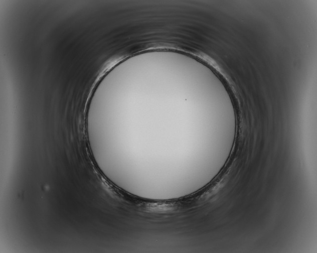 X0000086011145200704131822