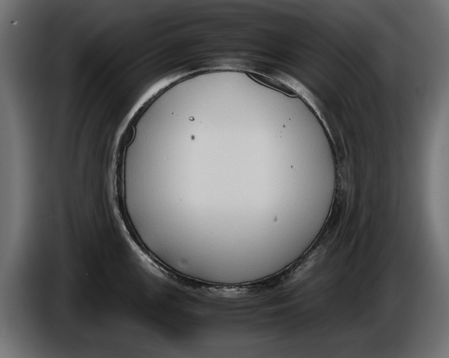 X0000086011147200704131822