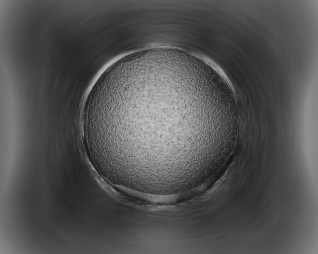 X0000086011148200704131822