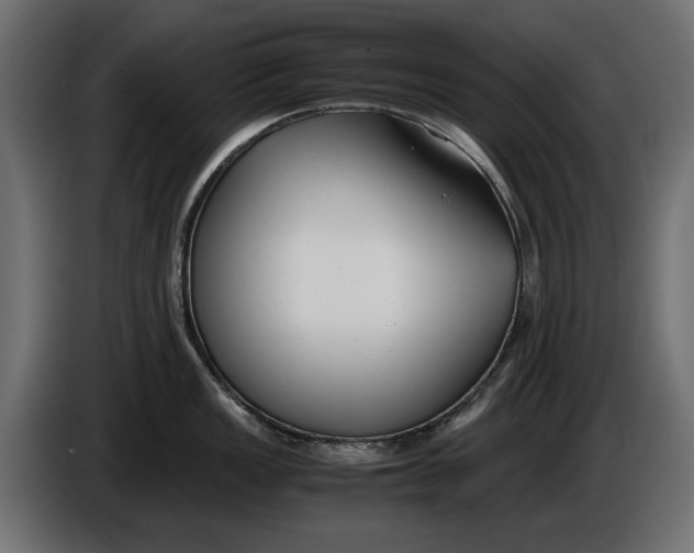X0000086011149200704131822
